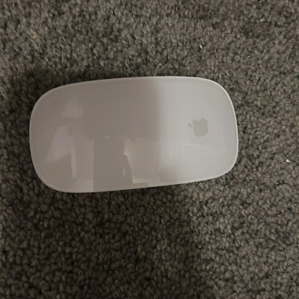 White Apple magic mouse